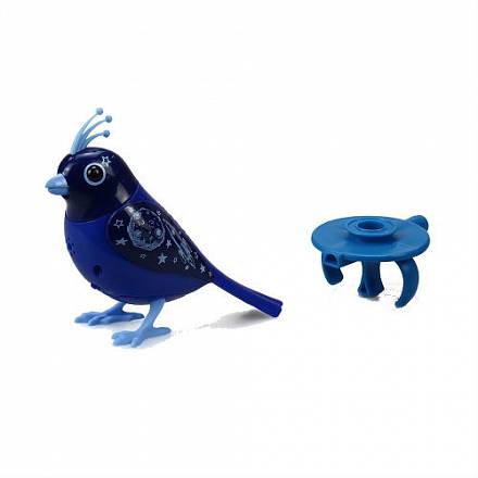 Птичка с кольцом, синяя с голубой головой 